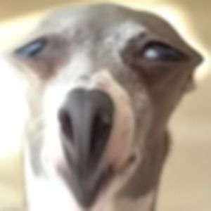 Meet your Posher, Taran